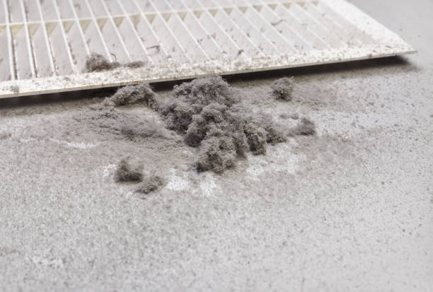 Best HVAC Air Duct Cleaning  in Haines, AK