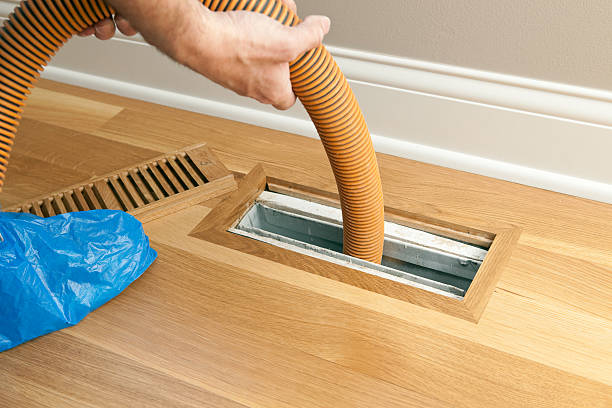 Best Dryer Vent Cleaning Services  in Haines, AK